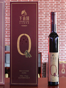 北冰红探路者